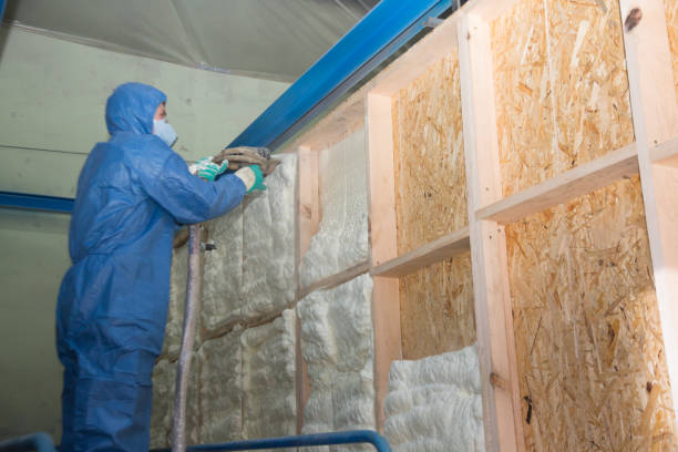 Best Attic Insulation Installation  in Wekiwa Springs, FL
